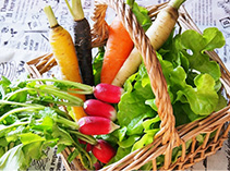 定番から珍しい野菜まで豊富な商品