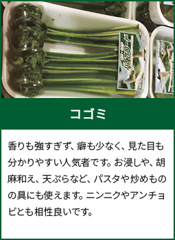 コゴミ