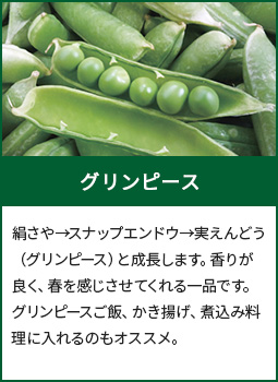 グリンピース