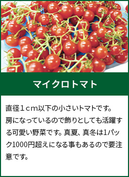 マイクロトマト