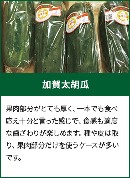 加賀太胡瓜