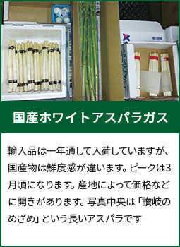 国産ホワイトアスパラガス