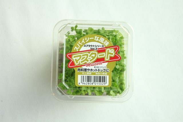 マスタードスプラウト