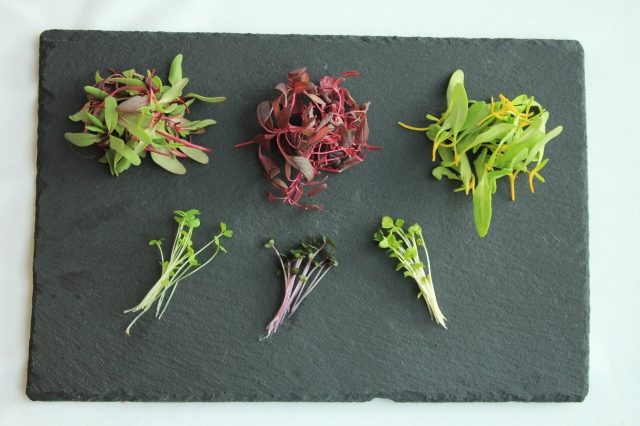 スプラウト野菜