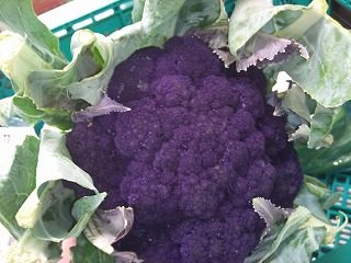 紫カリフラワー｜業務用野菜のベジクル