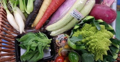 TSUKASAの野菜ボックス｜業務用野菜のベジクル