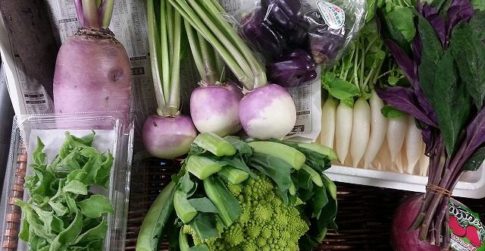 彩りがステキな秋冬野菜｜業務用野菜のベジクル