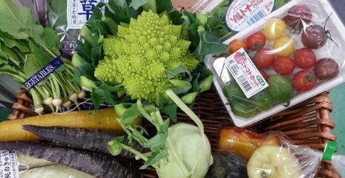 べジクルのオススメ野菜｜業務用野菜のベジクル