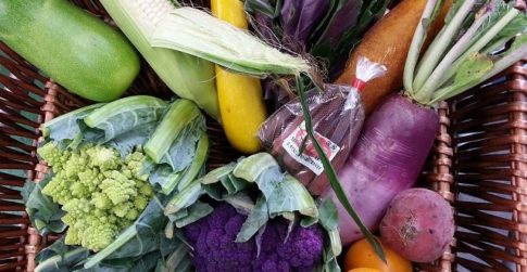 ＴＳＵＫＡＳＡセレクト　オススメの野菜達(^O^)／｜業務用野菜のベジクル