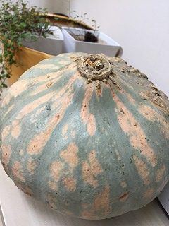 長崎県の竹田さんの作ったこだわり野菜。 「熟成かぼちゃ