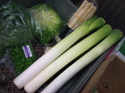 彩根菜のご紹介｜業務用野菜のベジクル