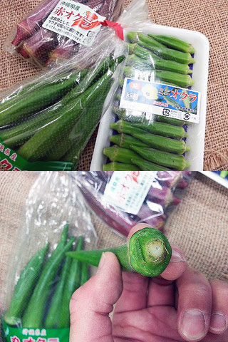 業務用青果 夏|業務用青果のTSUKASA