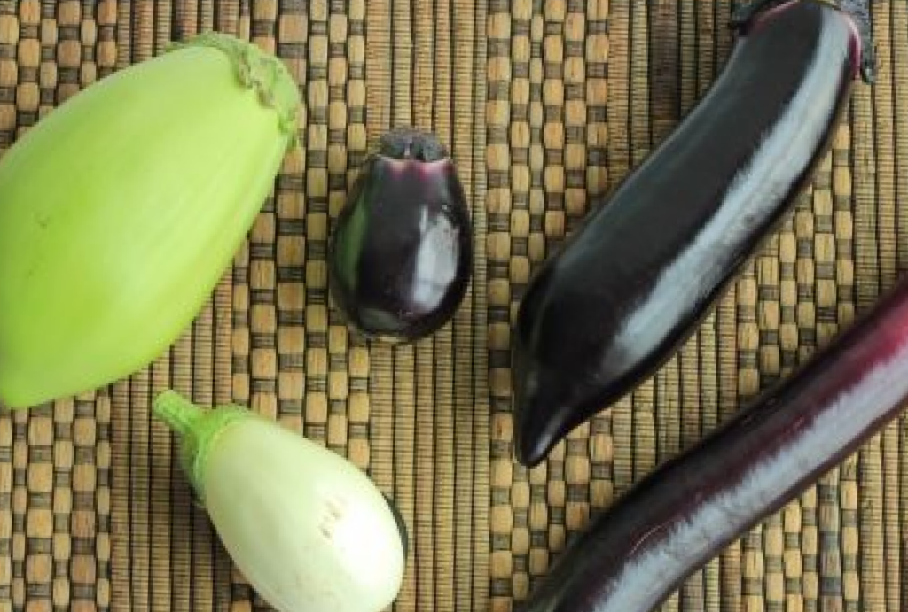 なすページ 夏の旨野菜「茄子」のご案内 | 業務用野菜のベジクル