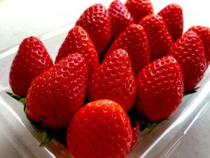 やよいひめ(苺)